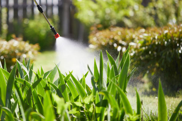 24/7 Emergency Mosquito Control experts in Aurora, SD